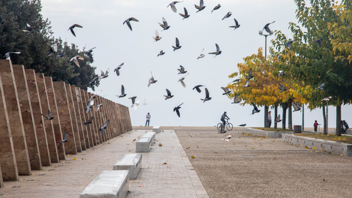 Δήμαρχοι Κεντρικής Μακεδονίας: Πάρτε τώρα αυστηρότερα μέτρα - Άσκοπο το click away