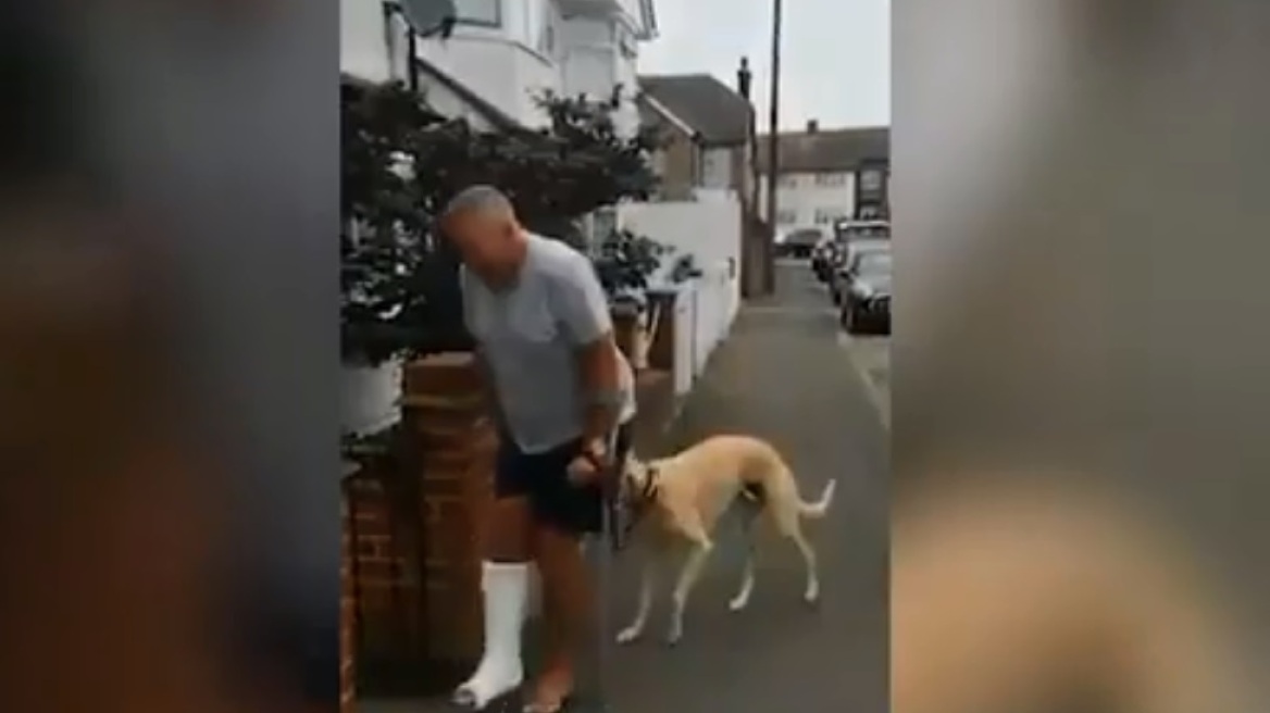 Δείτε βίντεο: Σκύλος αντιγράφει τον ιδιοκτήτη του που κουτσαίνει από… συμπόνοια