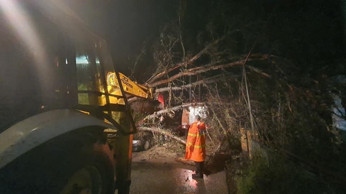 Κέρκυρα: Πτώσεις δέντρων και διακοπές ρεύματος από την κακοκαιρία
