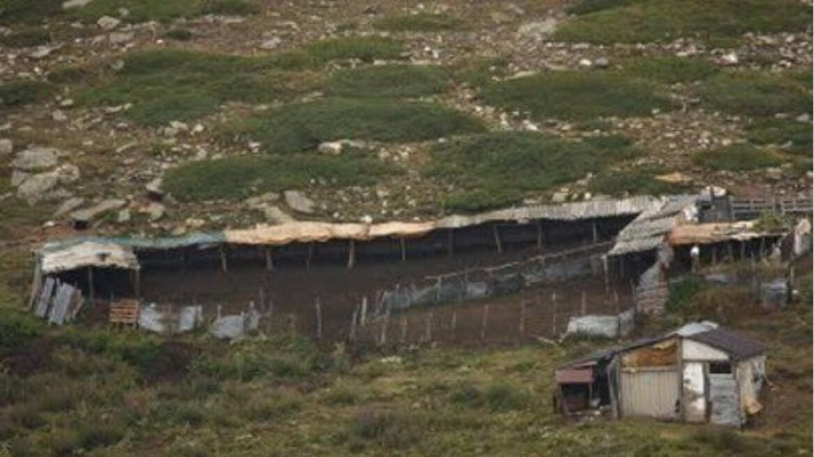 Χαλκίδα: Έλληνες λήστεψαν αλλοδαπό σε μαντρί