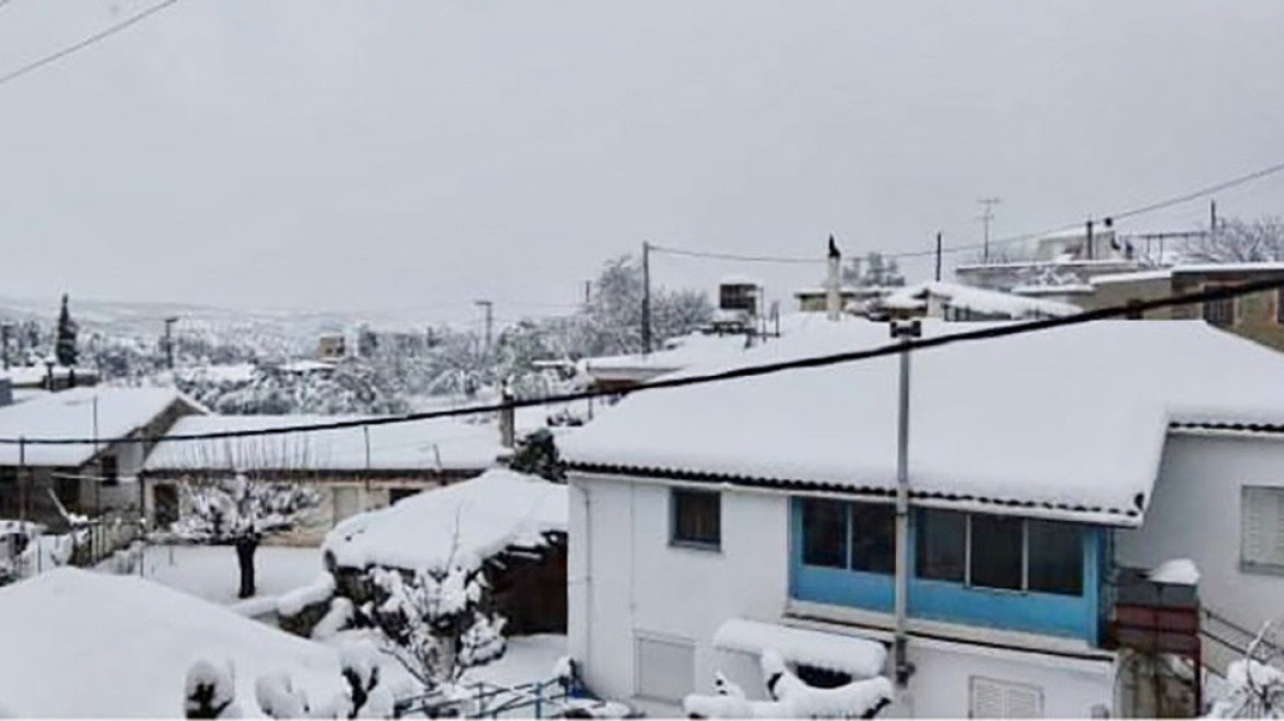 Κακοκαιρία «Μήδεια»: Το χιόνι κάλυψε τον Θεολόγο Ευβοίας