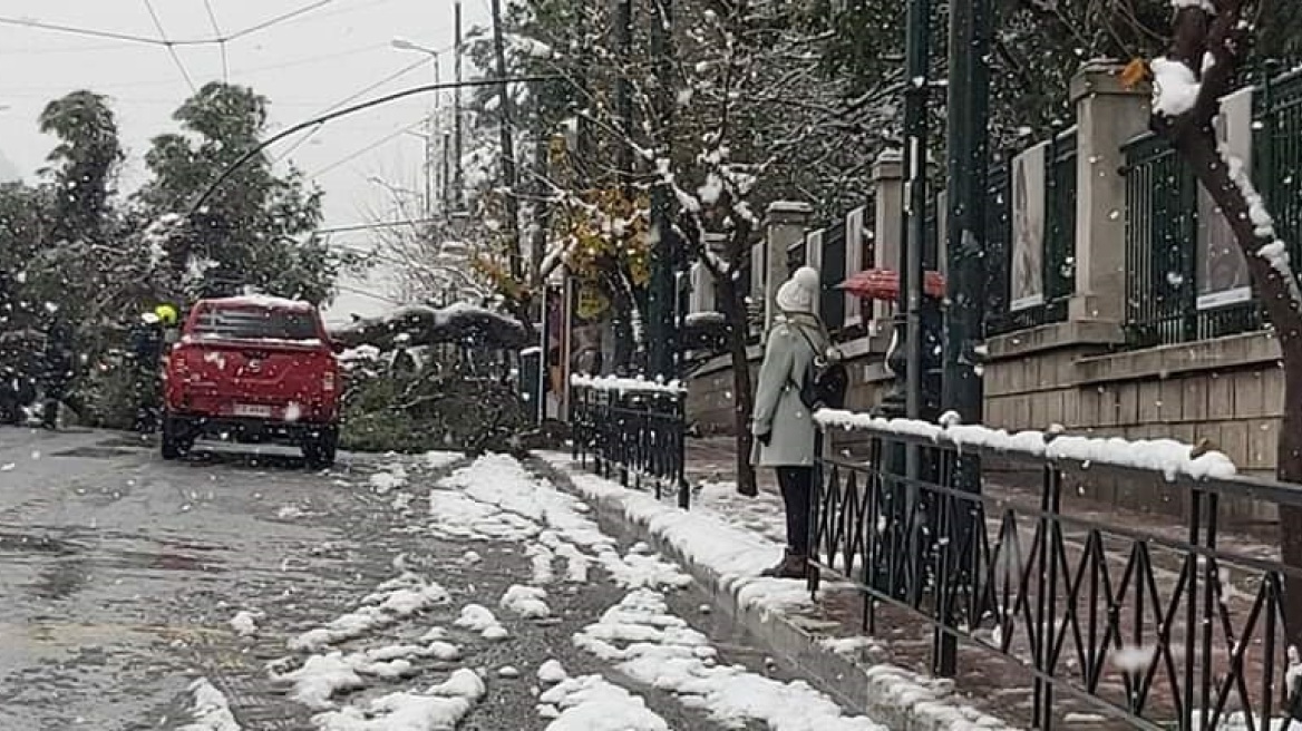 Κακοκαιρία «Μήδεια»: Έπεσε δέντρο στη Βασιλίσσης Σοφίας