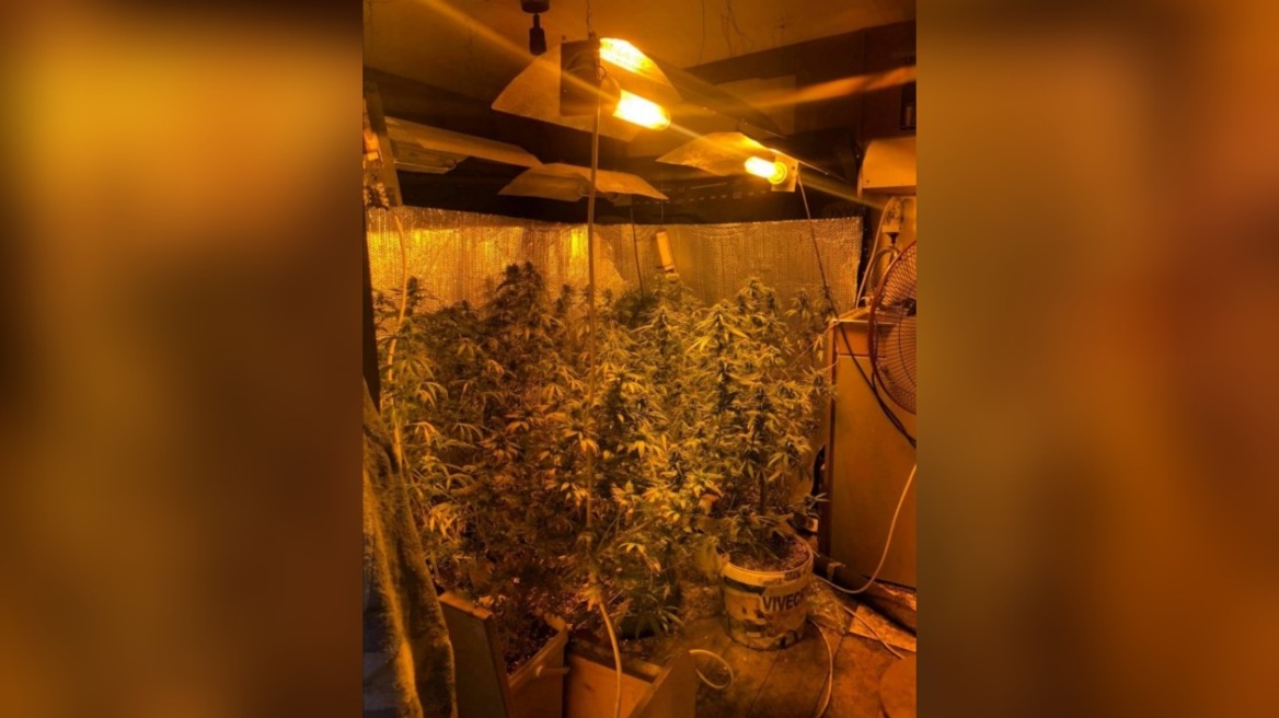 Ζάκυνθος: Τροχόσπιτο έγινε εργαστήριο παραγωγής υδροπονικής κάνναβης