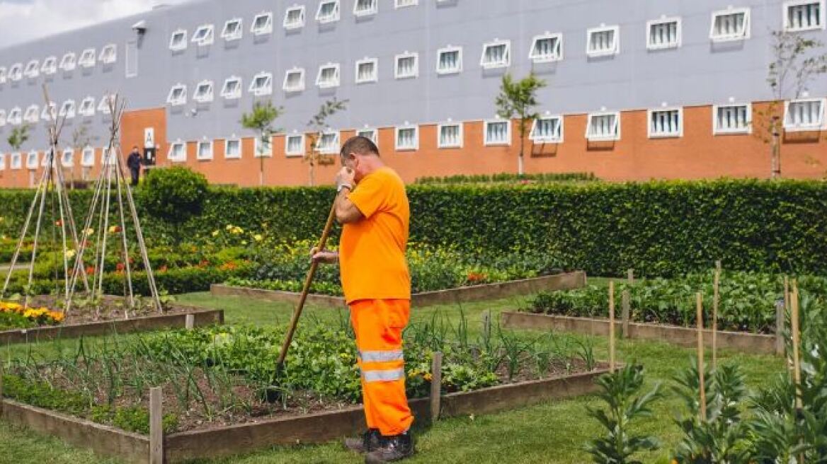 Τα φυτά στις φυλακές μειώνουν τη βία 