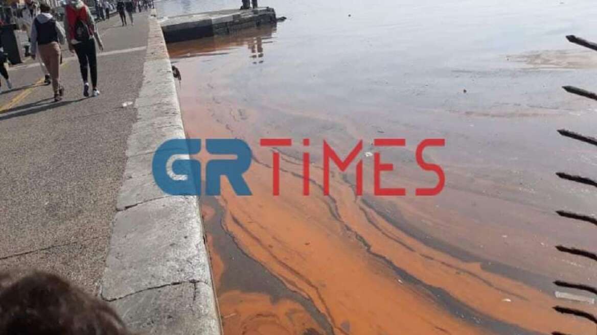 Θεσσαλονίκη: Τι είναι η Ερυθρά Παλίρροια που «κοκκίνισε» τον Θερμαϊκό