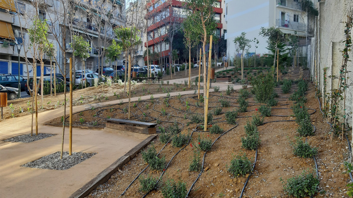 Πράσινη ανάσα στο Παγκράτι
