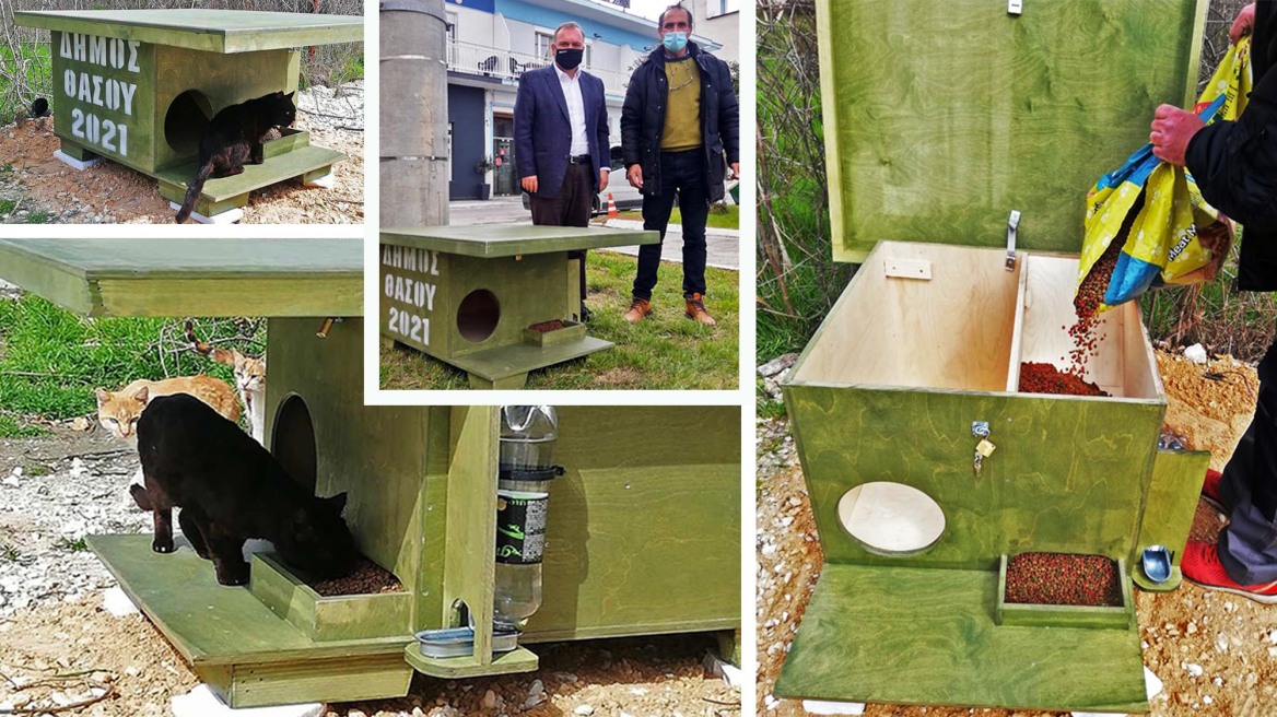 Δήμος Θάσου: Ξύλινα σπιτάκια για τα αδέσποτα ζώα  