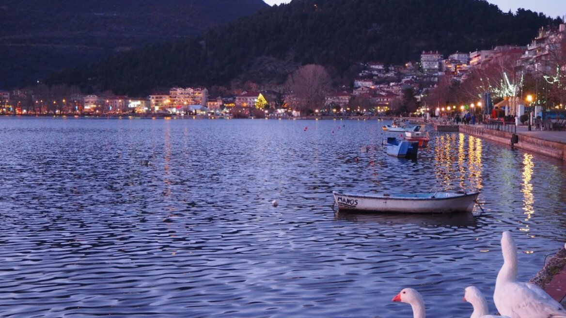 Καστοριά: Αυξημένα μέτρα για την γρίπη των πτηνών μετά το κρούσμα σε πελεκάνο