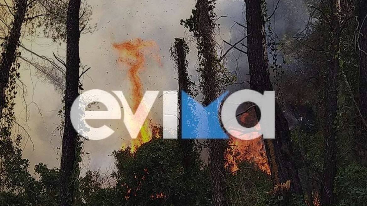 Σε έξελιξη μεγάλη φωτιά στην Εύβοια - Ισχυρές πυροσβεστικές δυνάμεις στο σημείο 