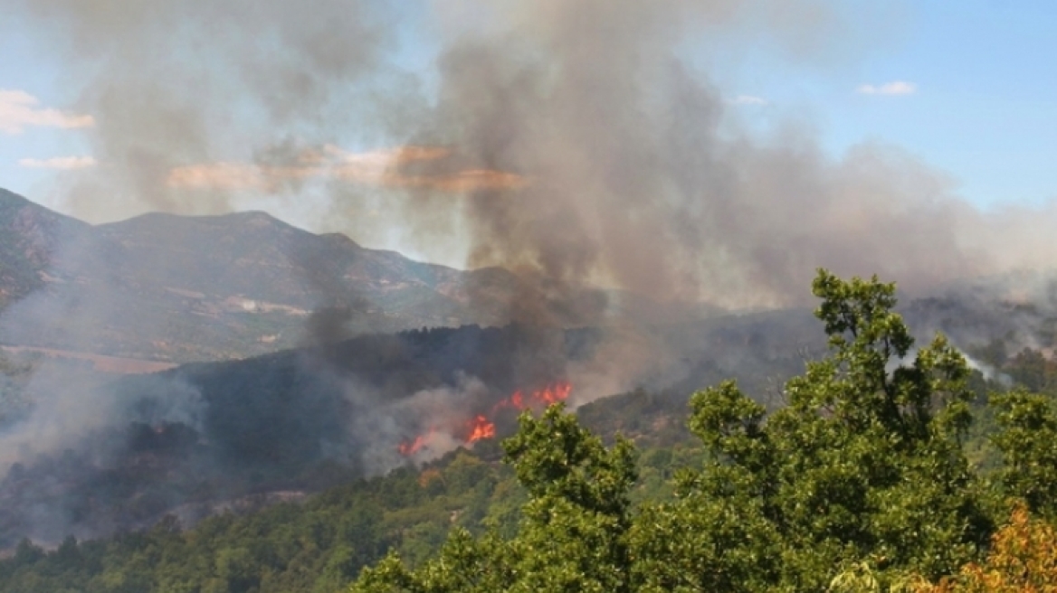 Φωτιά σε δασική έκταση στη Μονεμβασιά