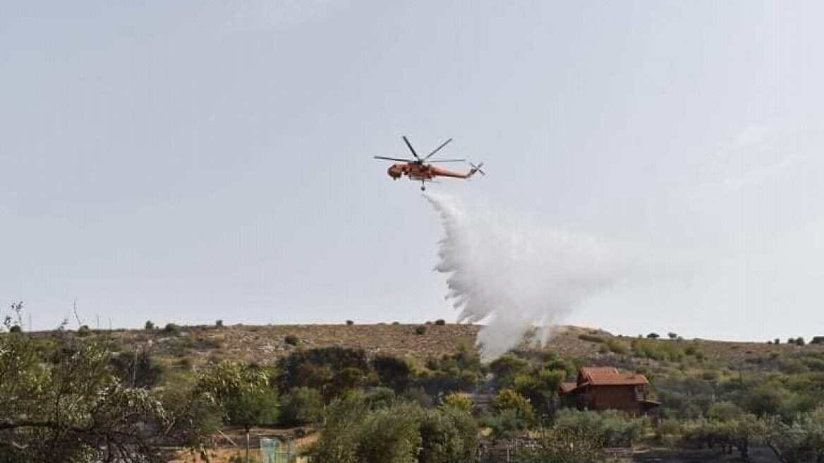 Σαλαμίνα: Δικογραφία σε βάρος ηλικιωμένου για φωτιά μικρής έκτασης την Πέμπτη
