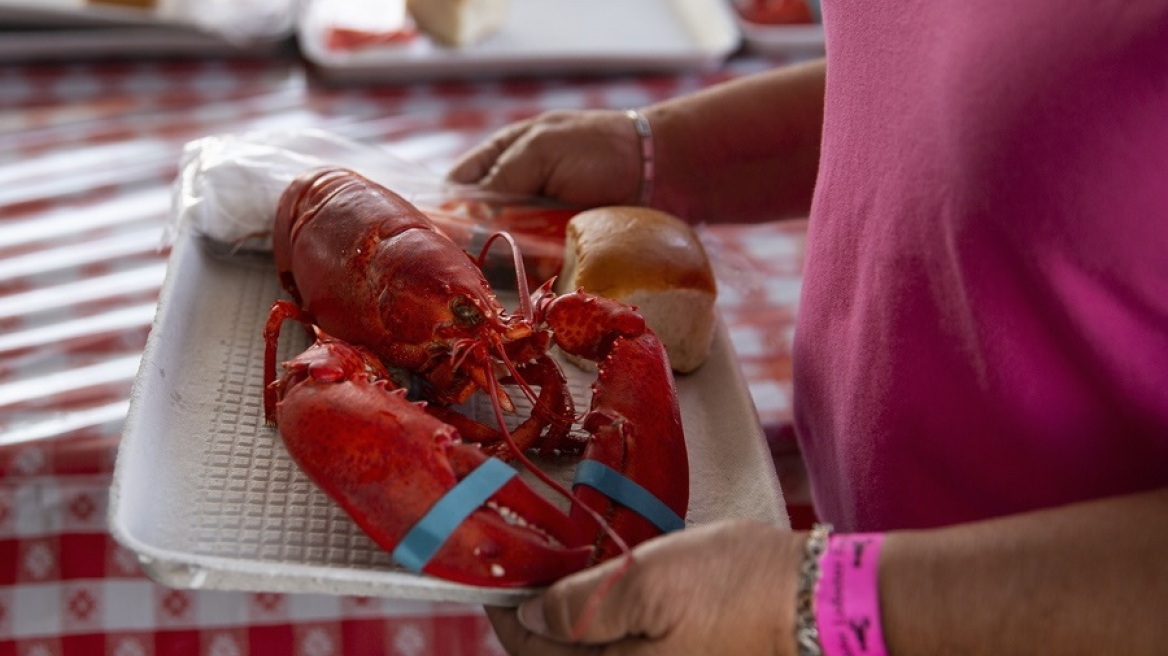 Η Βρετανία θα απαγορεύσει το βράσιμο των ζωντανών αστακών