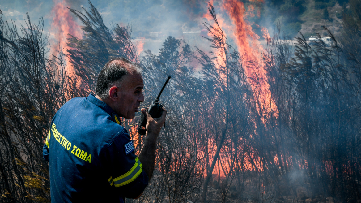 Συνελήφθη ένας 57χρονος αγρότης για τη φωτιά στα Στύρα - Σε ύφεση όλα τα μέτωπα 