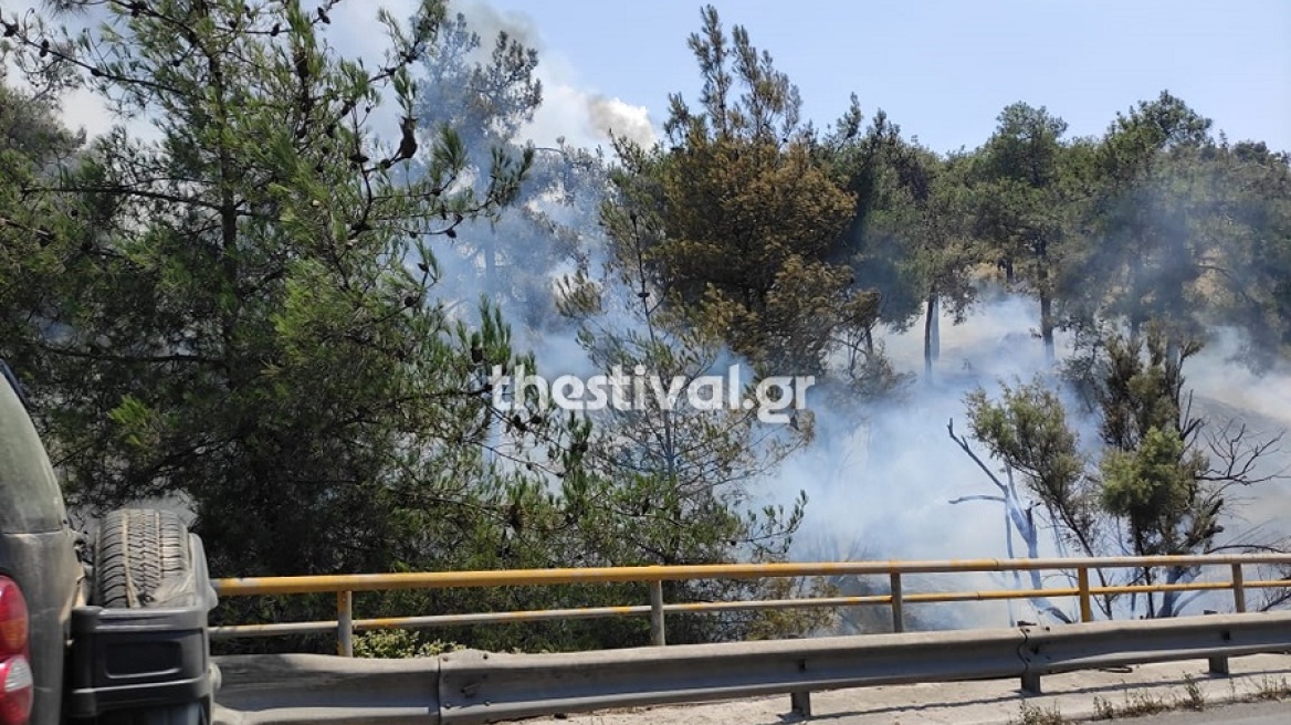 Σε ύφεση η μεγάλη φωτιά στο Σέιχ Σου - Βίντεο και φωτογραφίες 