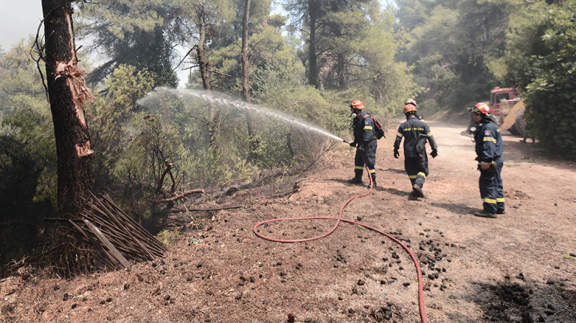 Φωτιά στη Σταμάτα - Αρχηγός Πυροσβεστικής: Καλύτερη η εικόνα 