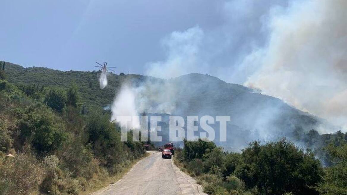 Αχαΐα: Χωρίς ενεργό μέτωπο η φωτιά στη Δροσιά 