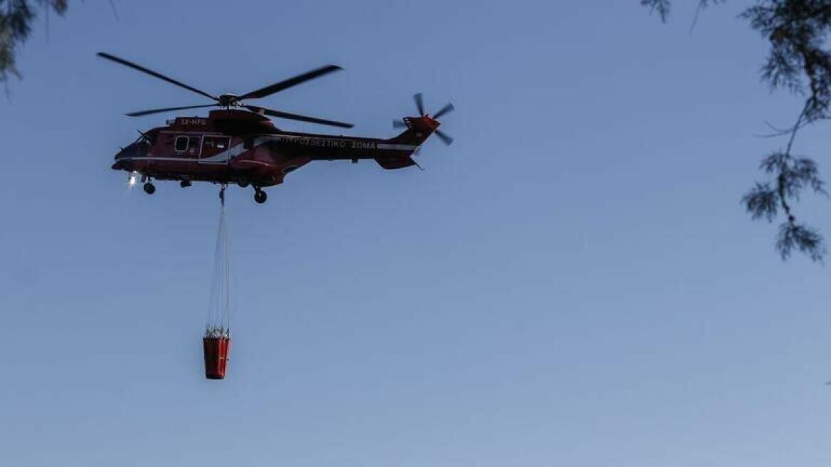 Κρήτη: Σε ύφεση η φωτιά που ξέσπασε σε δασική έκταση στην Αγία Βαρβάρα Ηρακλείου