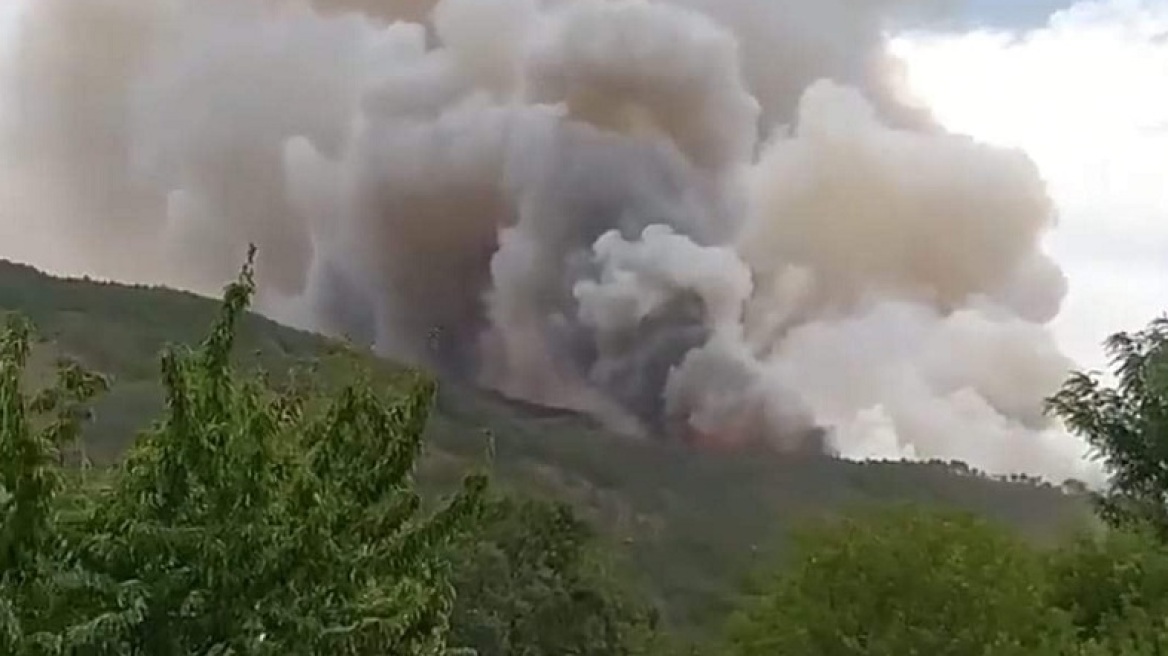 Φωτιά τώρα στους Πάδες Κόνιτσας