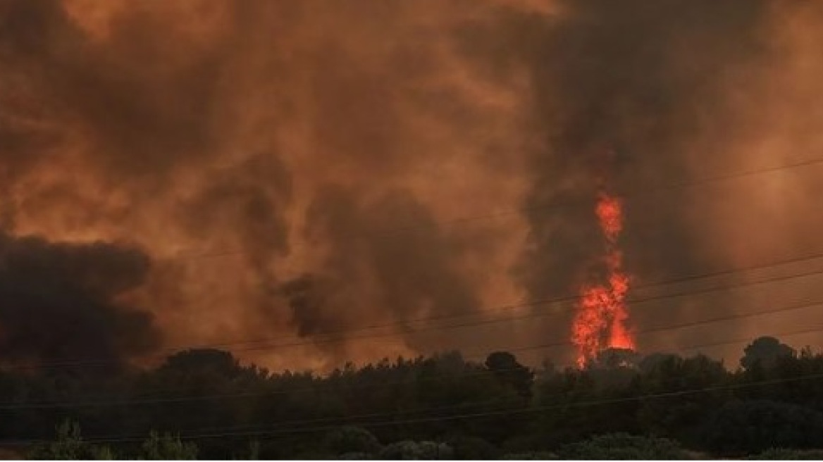 Πυρόπληκτες περιοχές: Πού και πώς μπορείτε να βοηθήσετε