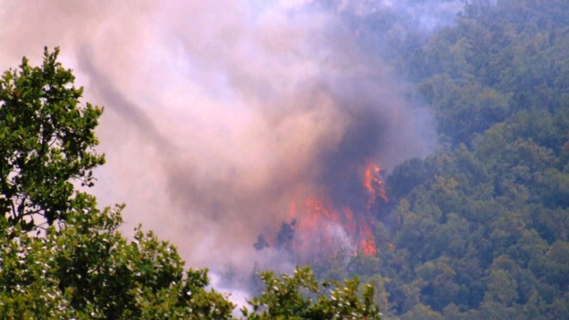 Γρεβενά: Σε δυο μέτωπα η μάχη με τη φωτιά - Ξαγρύπνησαν οι κάτοικοι πέντε οικισμών