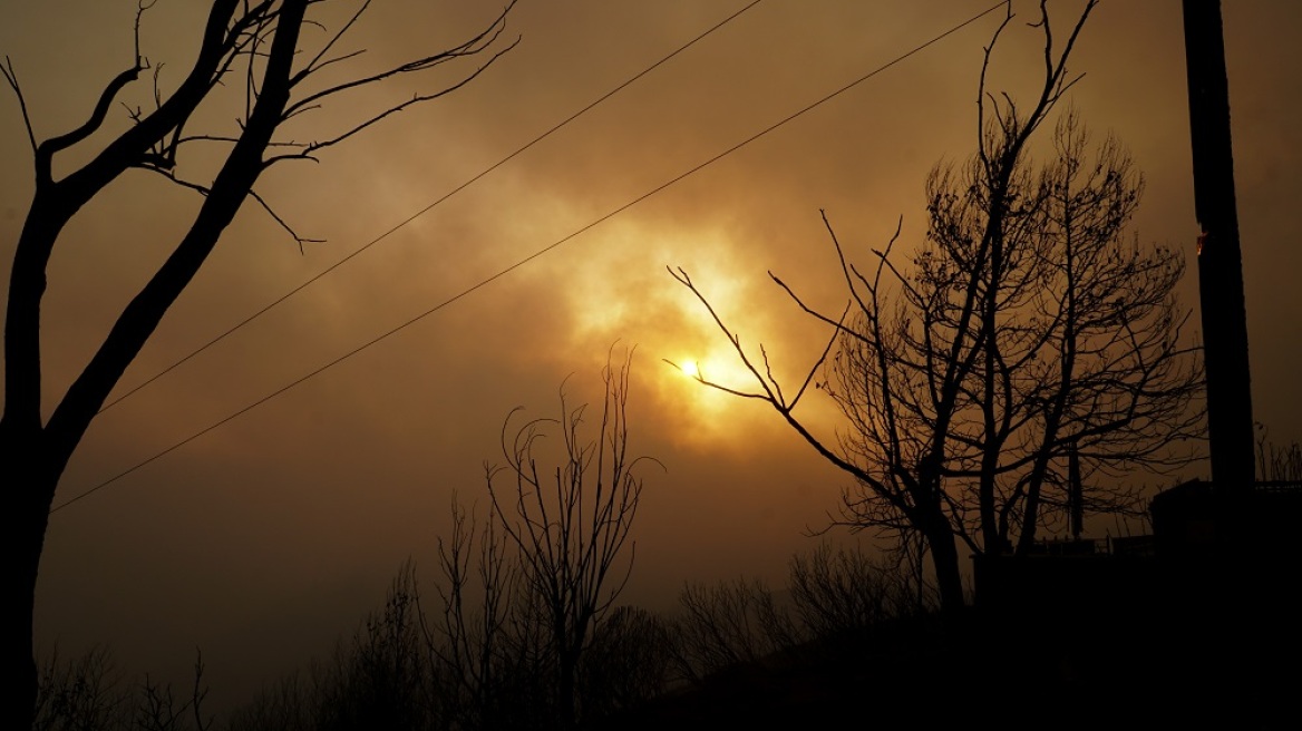 Φωτιά στον Έβρο: Στις παρυφές του δάσους Δαδιάς το μέτωπο, σηκώθηκαν εναέρια μέσα