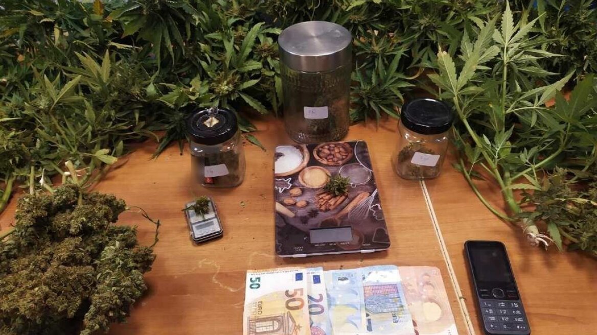 Ηράκλειο: Τσάκωσαν χασισοκαλλιεργητή στην Χερσόνησο