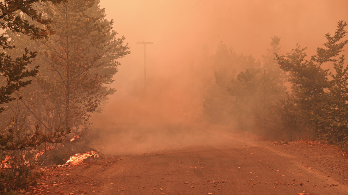 Φωτιά στην Εύβοια: Καίγονται  σπίτια στο Πευκί - Ακόμα και με κουβάδες δίνουν μάχη κάτοικοι και πυροσβέστες 