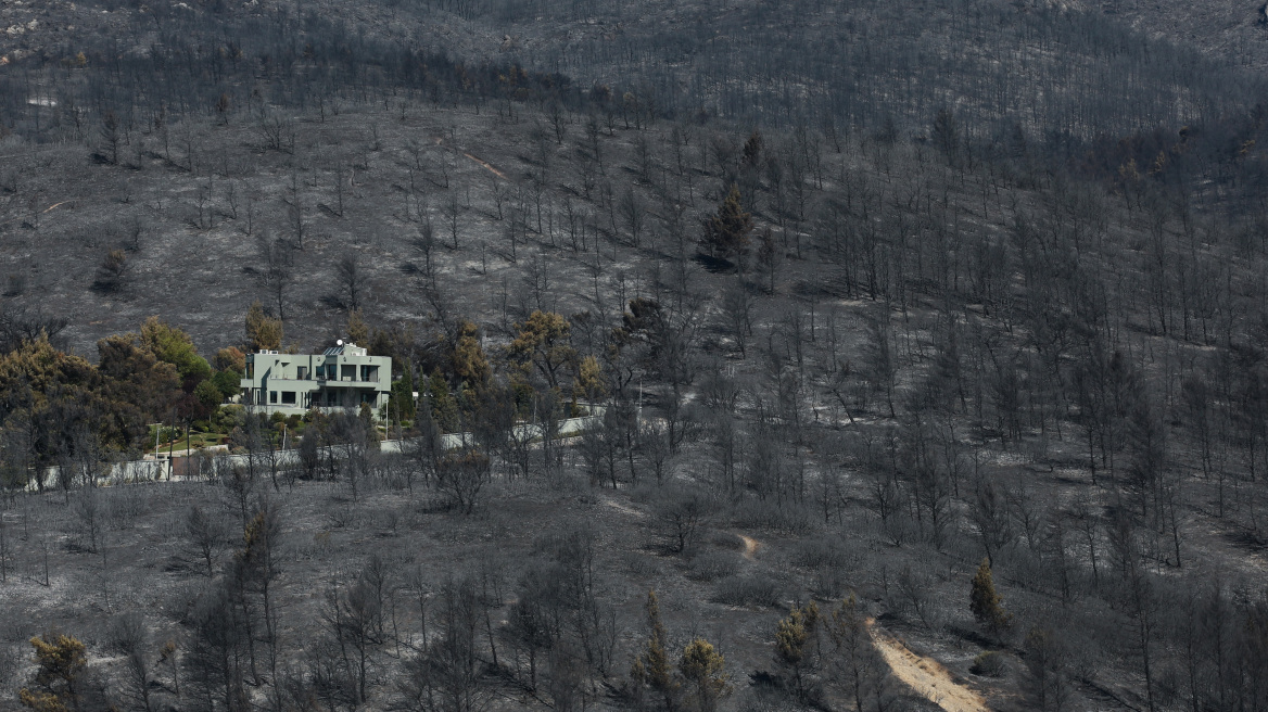 Πυρκαγιές: Οικολογική καταστροφή με περισσότερα από 650.000 στρέμματα καμένα σε όλη τη χώρα
