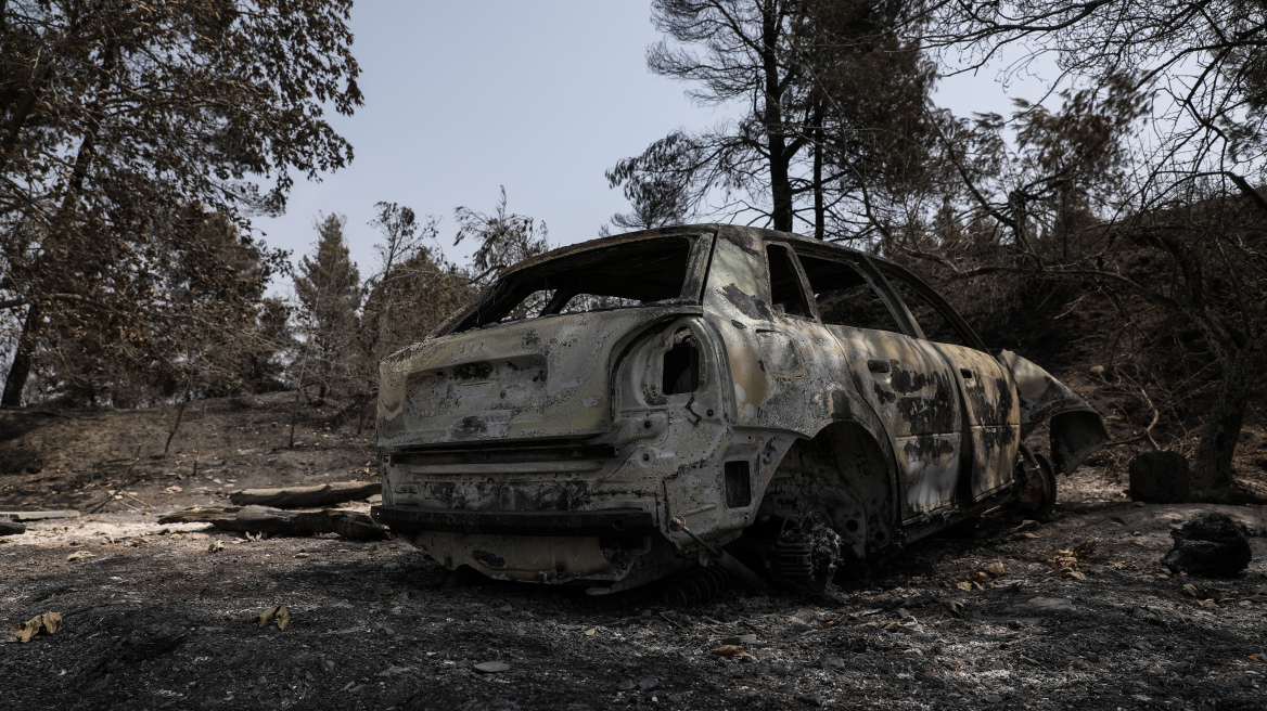 ΚΕΔΕ: Ανοίγει ειδικό λογαριασμό με 500.000 ευρώ και συγκεντρώνει χρήματα για τις αναδασώσεις – Ειδικό πρόγραμμα «Δες το Δάσος»