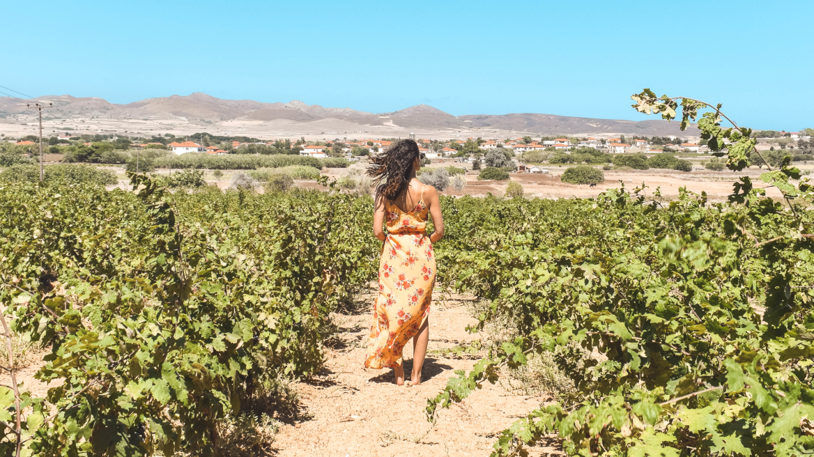 10+1 εμπειρίες που πρέπει οπωσδήποτε να ζήσετε στη Λήμνο