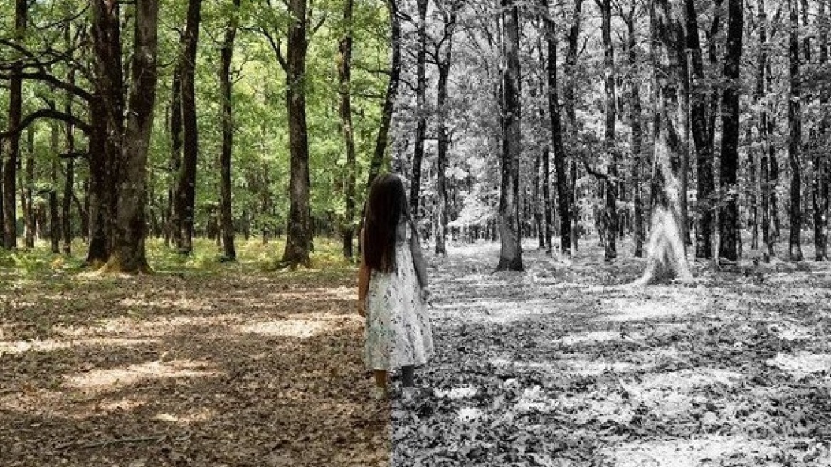 Φωτιά στην Αρχαία Ολυμπία: Η καταστροφή μέσα από τα μάτια ενός παιδιού