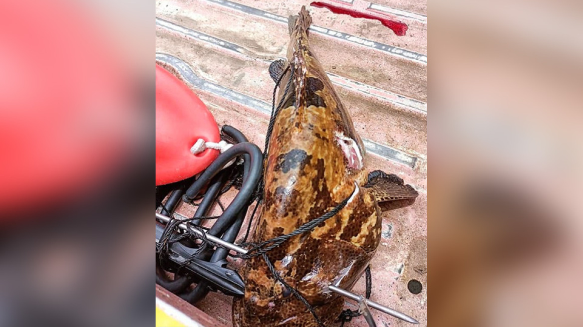 Φιλιππίνες: Τραγικό τέλος για 31χρονο ψαροτουφεκά που «παγιδεύτηκε» από μεγάλο ψάρι