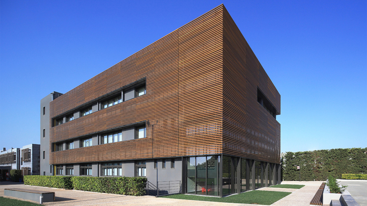 Σπούδασε στα κορυφαία πανεπιστήμια του κόσμου μένοντας στην Ελλάδα