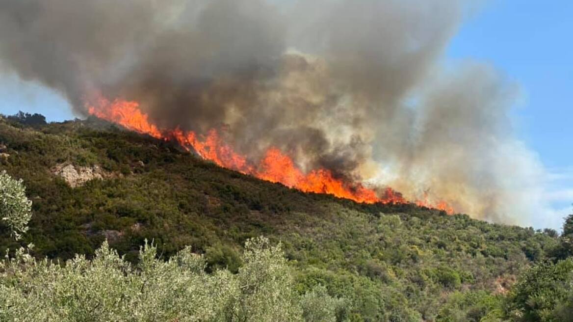 Φωτιά στην Αστροβίτσα Αιτωλικού - Δείτε βίντεο