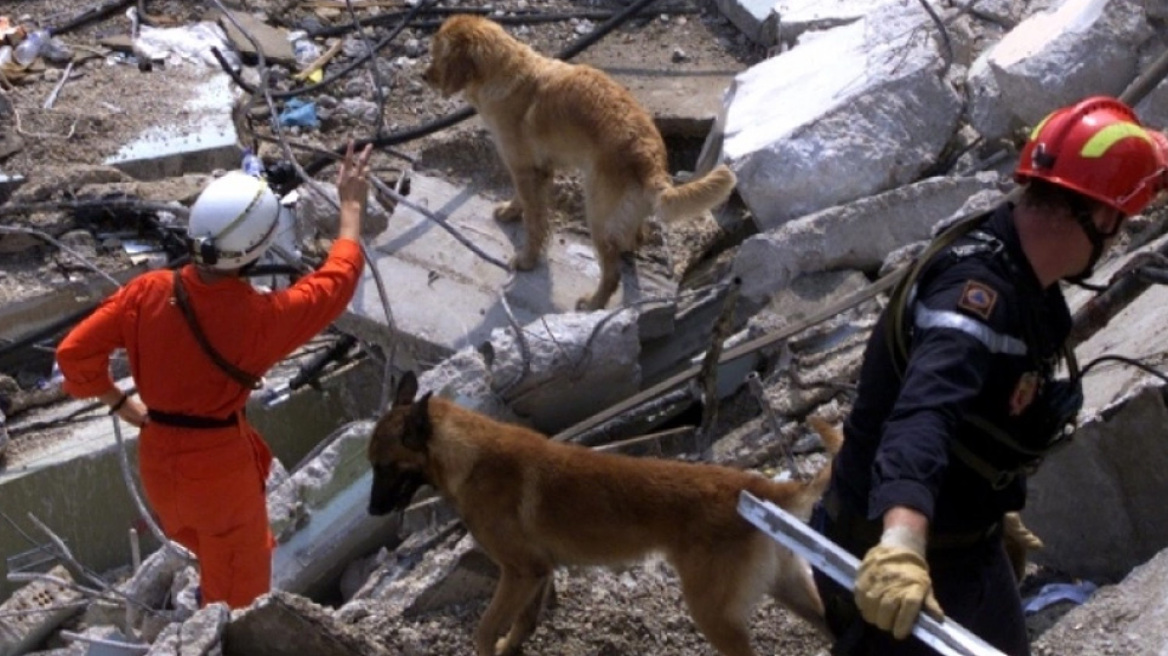 Το «χάρτινο εργοστάσιο» της Ρικομέξ των 39 νεκρών που δεν είχε κανέναν… ένοχο