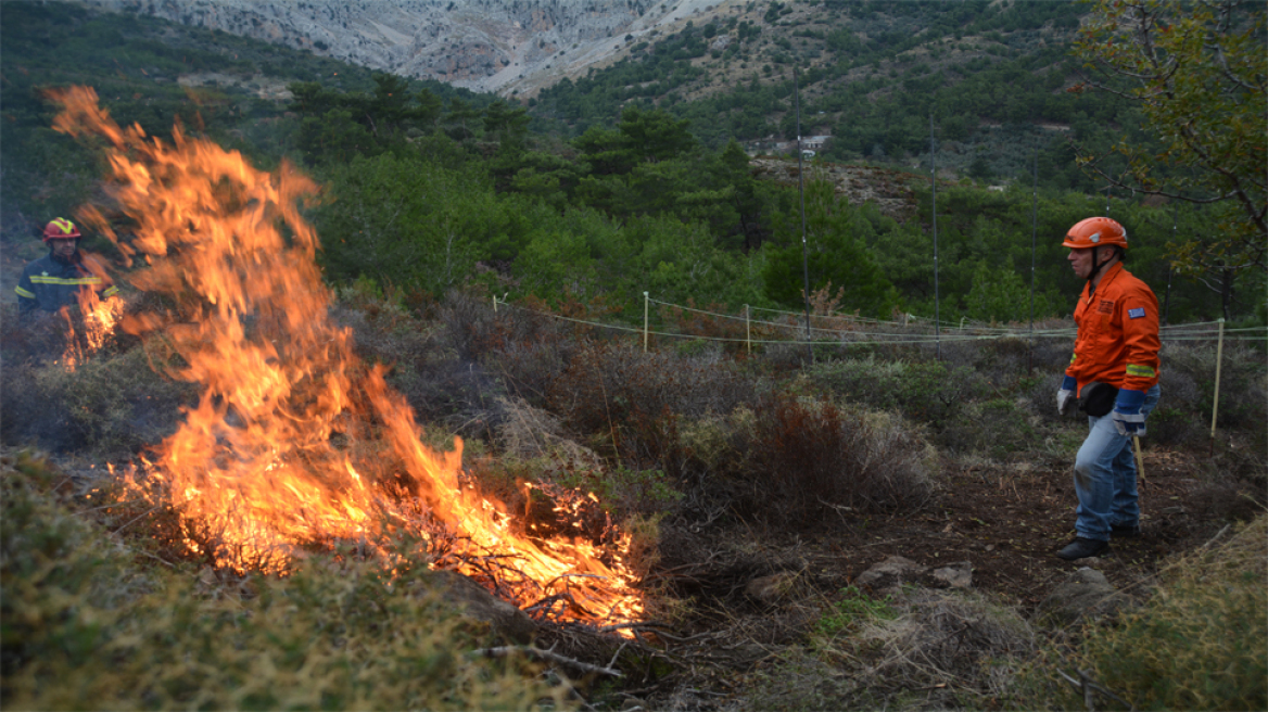 Η πρόληψη πυρκαγιών γίνεται πράξη στη Χίο 