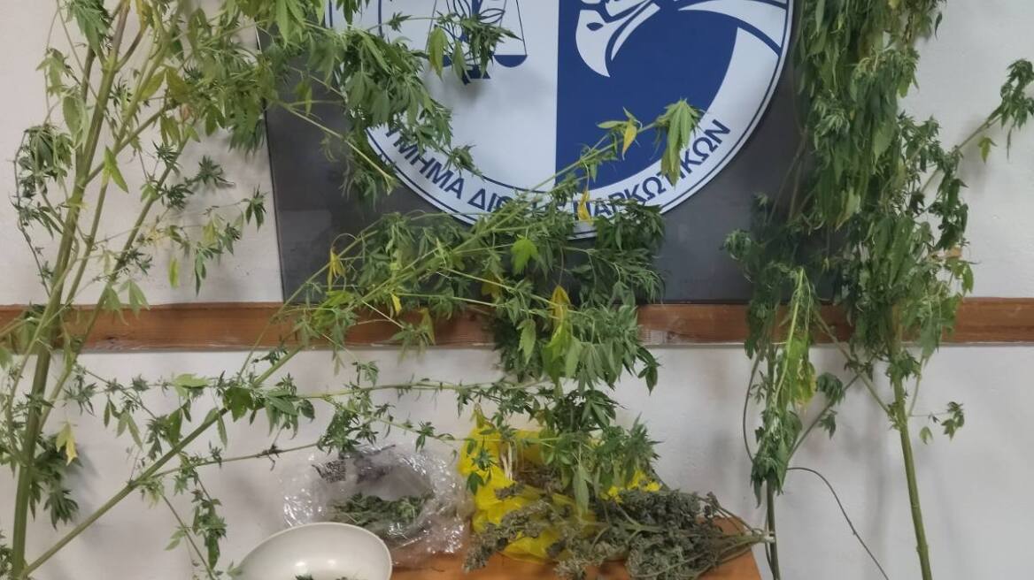 Η «Lussy» βρήκε τα ναρκωτικά και η Δίωξη τα χρήματα