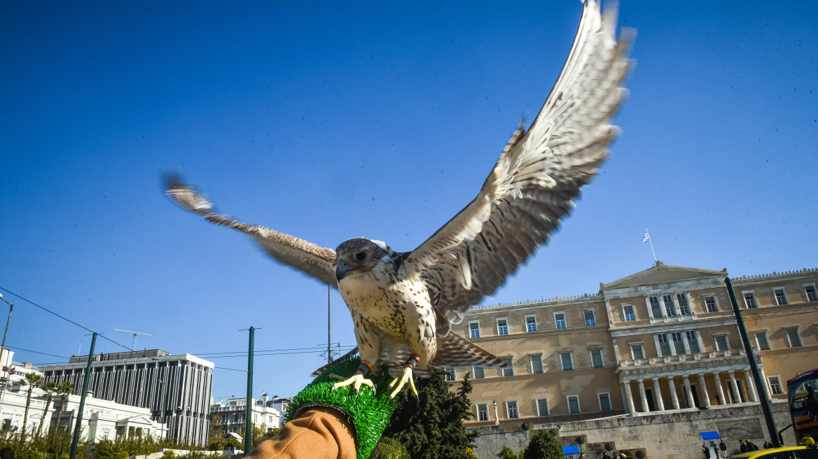 Γκάφα σε ΦΕΚ: Μπέρδεψαν την ιερακοθηρία (κυνήγι με γεράκια) με την... προικοθηρία!