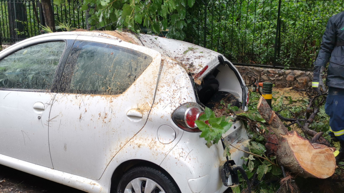 Κακοκαιρία «Μπάλλος»: Έπεσε δέντρο στη Σπύρου Μερκούρη - Ζημιές στα αυτοκίνητα και κυκλοφοριακό κομφούζιο