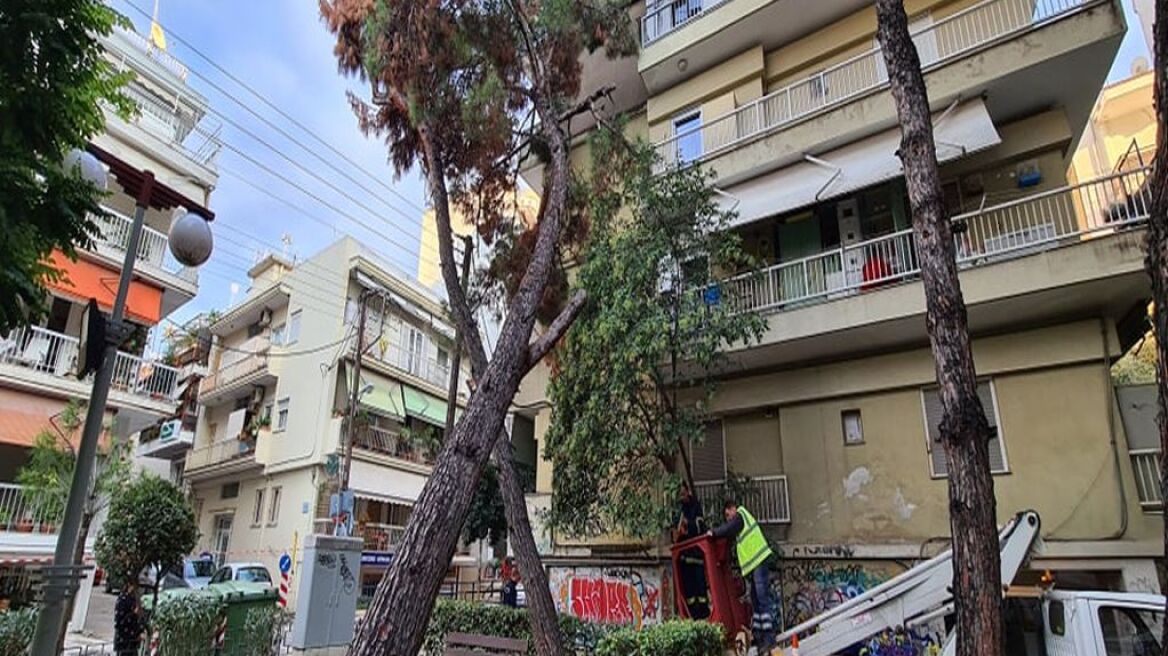Θεσσαλονίκη: Δέντρο έπεσε πάνω σε πολυκατοικία στο κέντρο της Καλαμαριάς