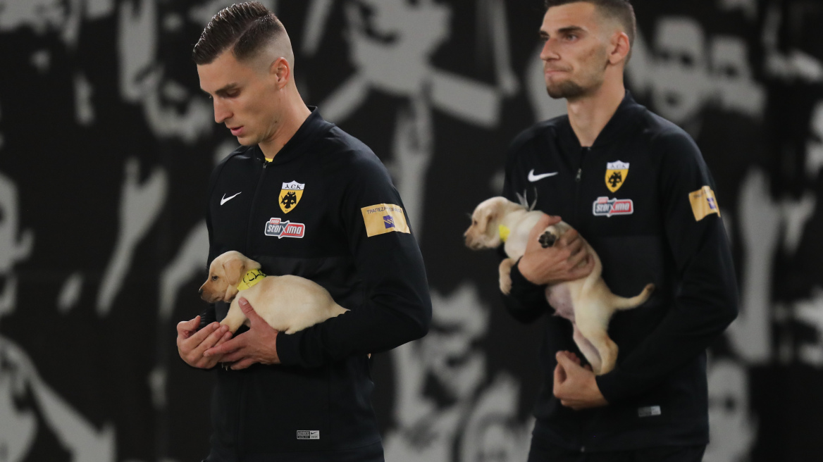 Παίκτες της ΑΕΚ ζήτησαν να υιοθετήσουν τα αδέσποτα κουτάβια 