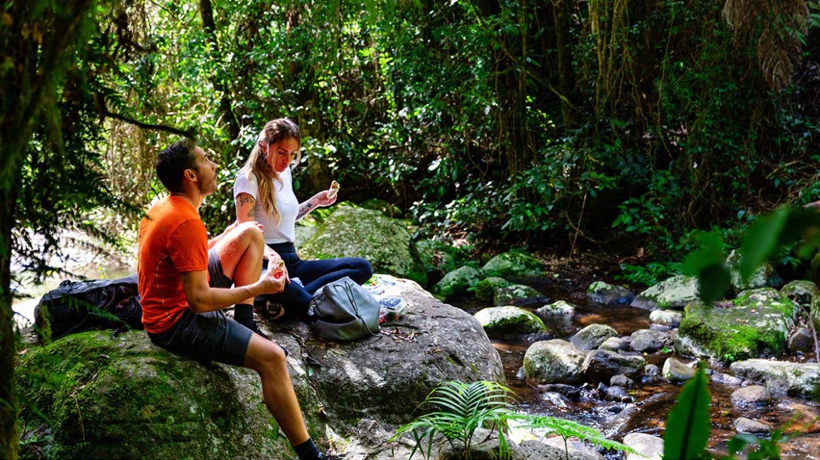 Το φυσικό φάρμακο που ρίχνει την πίεση και μειώνει το άγχος