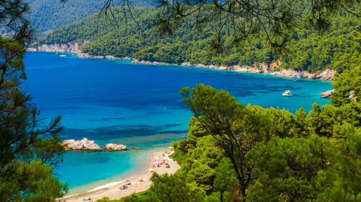 Ο Guardian στη Σκόπελο -Αποθεώνει τη βλάστηση και τη ρετσίνα 