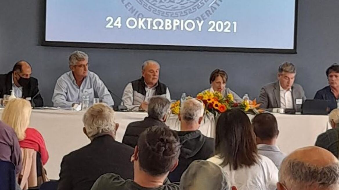 Ιστιοπλοϊκή Ομοσπονδία: Εγκρίθηκαν ομόφωνα το αγωνιστικό πρόγραμμα και ο προϋπολογισμός του 2022