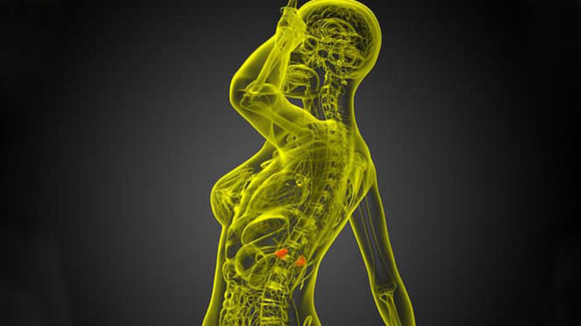 Αδένωμα επινεφριδίου: Τι πρέπει να γνωρίζουμε