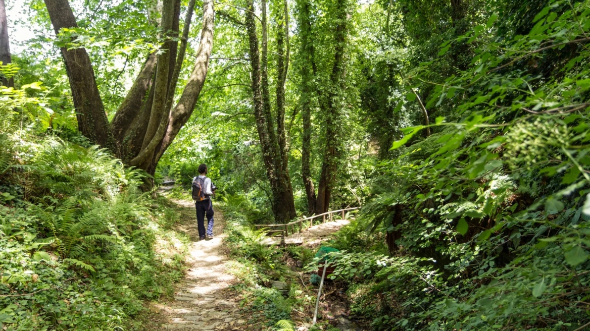 Σαββατοκύριακο στην Τσαγκαράδα, το καταπράσινο χωριό του Πηλίου 