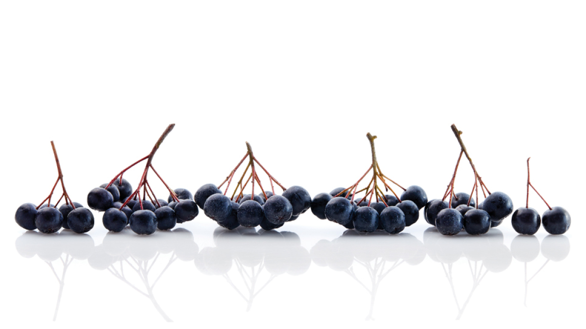 Μια εναλλακτική πρόταση… για τα επιχειρηματικά σας δώρα