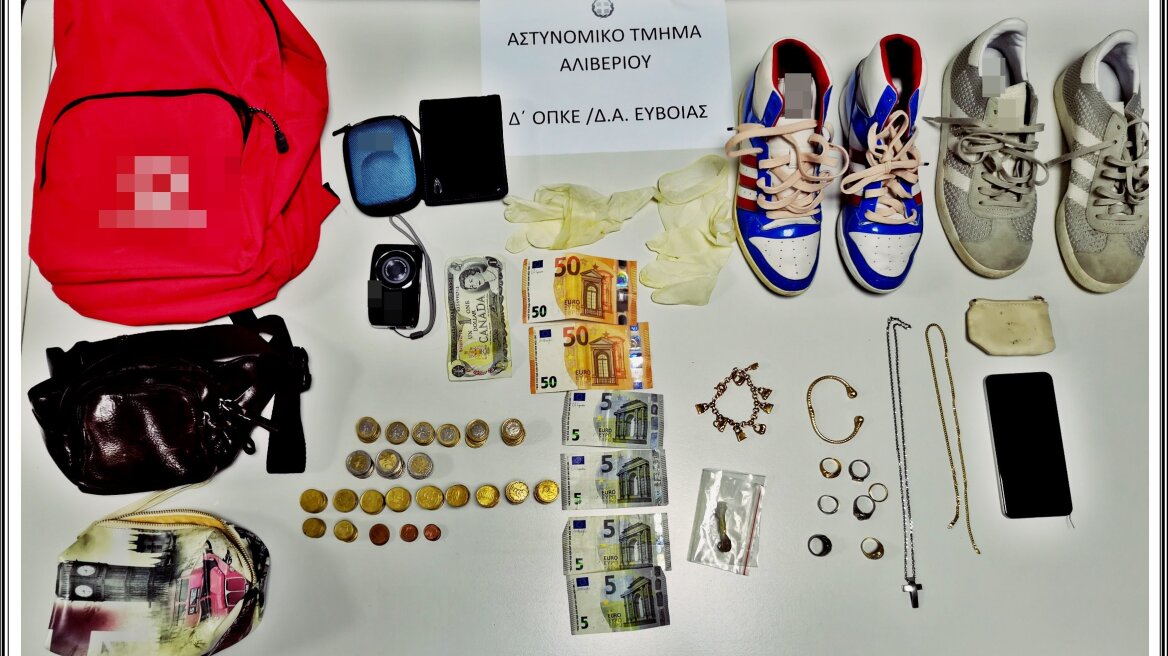 Εύβοια: Καταδίωξαν φυγόποινο δράστη 35 διαρρήξεων στο Αλιβέρι!