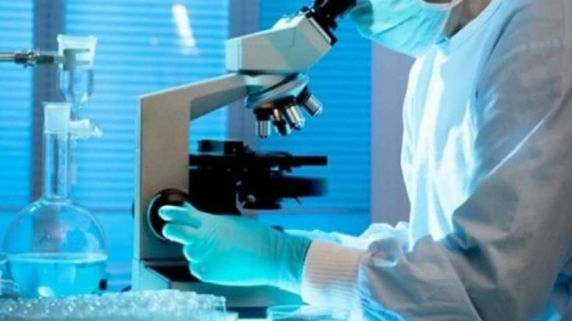 Δενδριμερή: Τα μικροσκοπικά πλοκάμια που αποφεύγουν την ανοσολογική μας απόκριση