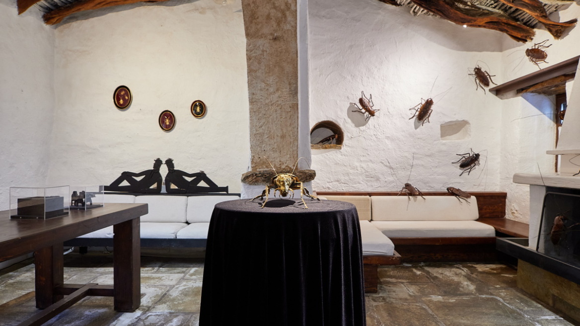 Ένα σπίτι με 2.000 κατσαρίδες στα Καλύβια Αττικής